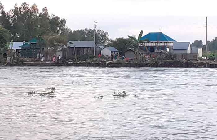 টঙ্গীবাড়ীতে পদ্মার তীব্র স্রোতের কারণে ফের নদী ভাঙ্গন