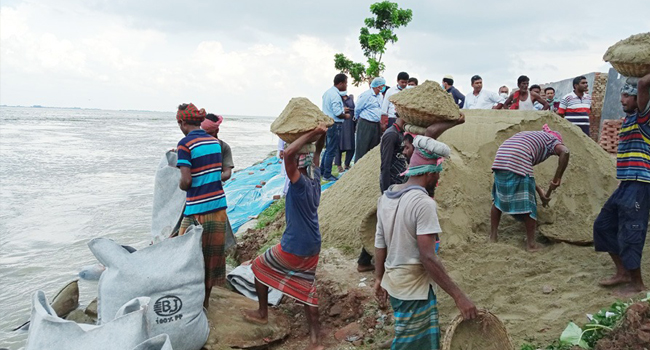 পদ্মার ভাঙ্গনে রাজবাড়ী শহর রক্ষা বাঁধ হুমকির মুখে