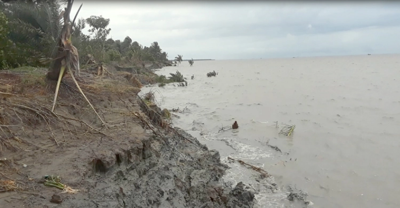 মেঘনার ভাঙনে বিলীন হচ্ছে উড়িরচর