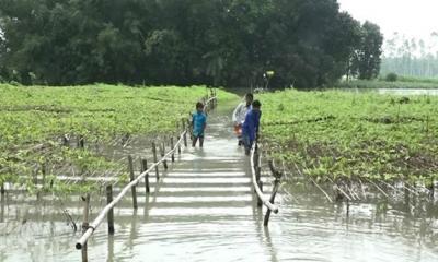 উত্তরাঞ্চলে আবারো বন্যা, পানিতে বিলীন কৃষকের স্বপ্ন