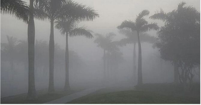 শৈত্যপ্রবাহের তীব্রতা কমেছে, আরও কমবে