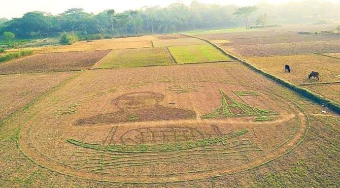 লালশাক আর সরিষার মাঠে বঙ্গবন্ধুকে আঁকলেন কৃষক কাদির