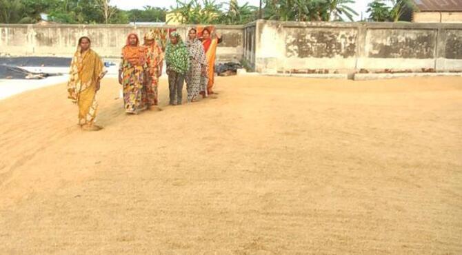 নওগাঁয় চালের দাম লাগামছাড়া, কৃষক-ব্যবসায়ীদের পাল্টাপাল্টি অভিযোগ