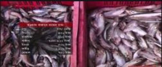 নদী-খাল-বিলের মাছে সরগরম রাজশাহীর হড়গ্রাম