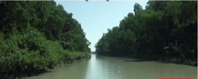 প্রকৃতিপ্রেমীদের ডাকছে চর কুকরী-মুকরী