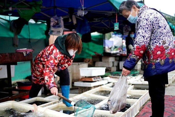 করোনার উৎস খুঁজতে উহানে যাচ্ছেন ডব্লিউএইচও’র বিজ্ঞানীরা