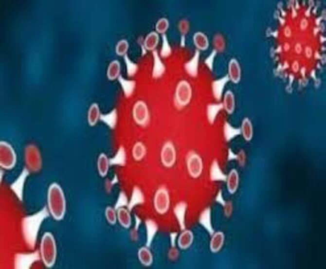 দেশে করোনায় ২৪ ঘন্টায় ২৮ জনের মৃত্যু, শনাক্ত ১০১৪