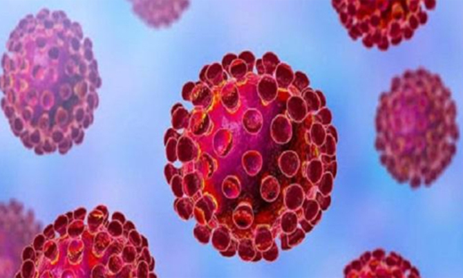 দেশে করোনায় ২৪ ঘন্টায় ৩০ জনের মৃত্যু, শনাক্ত ১৩৬৭