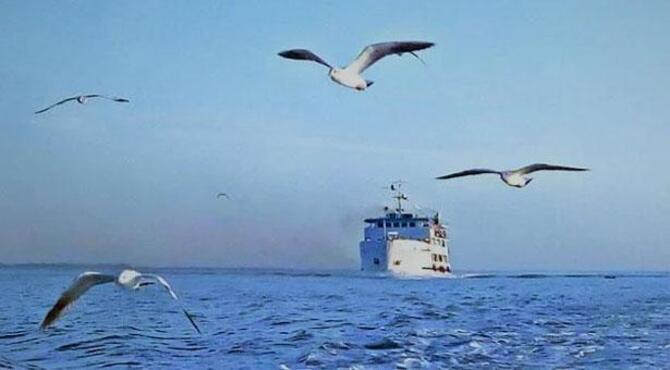 সাগরে জাহাজের ইঞ্জিন বিকল, যেভাবে ফিরলেন সেন্টমার্টিনের পর্যটকরা