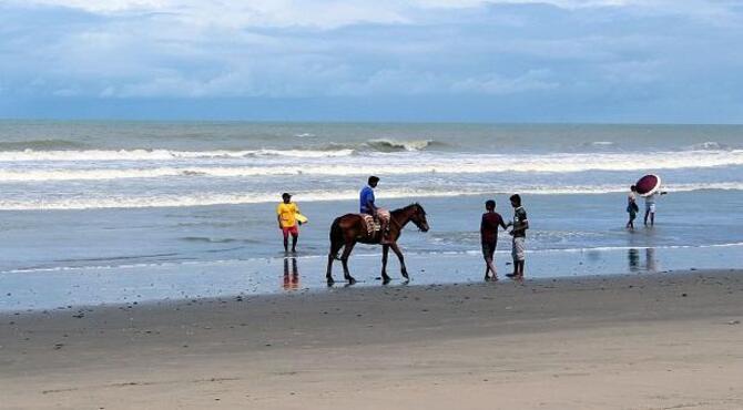 সৈকতে কমছে ঘোড়ার কদর