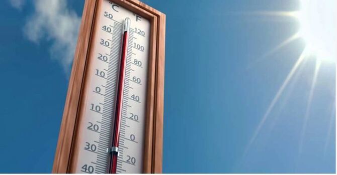 সরছে কুয়াশা, বাড়ছে তাপমাত্রা