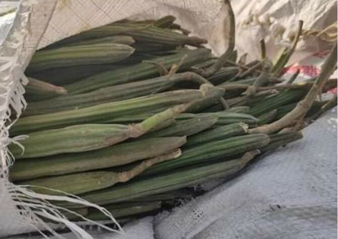 ভারত থেকে সজনে আমদানি