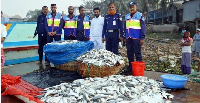 যাত্রীবাহী লঞ্চ থেকে সাড়ে ৮২ মণ জাটকা ইলিশ জব্দ