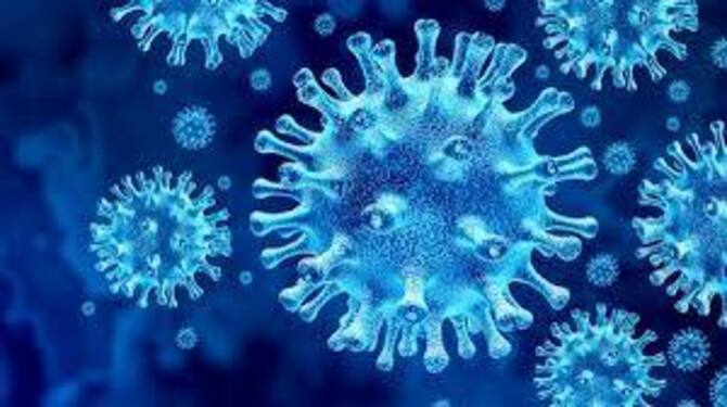 দেশে করোনায় ২৪ ঘন্টায় ৮ জনের মৃত্যু, শনাক্ত ৩৮৫