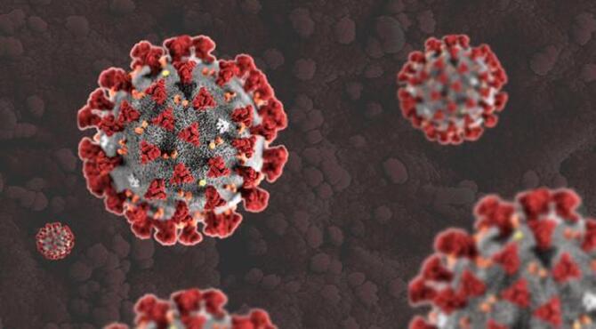 দেশে করোনায় ২৪ ঘন্টায় ১৩ জনের মৃত্যু, শনাক্ত ৪৩৮