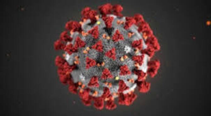 দেশে করোনায় ২৪ ঘন্টায় ১০ জনের মৃত্যু, শনাক্ত ৩৮৮