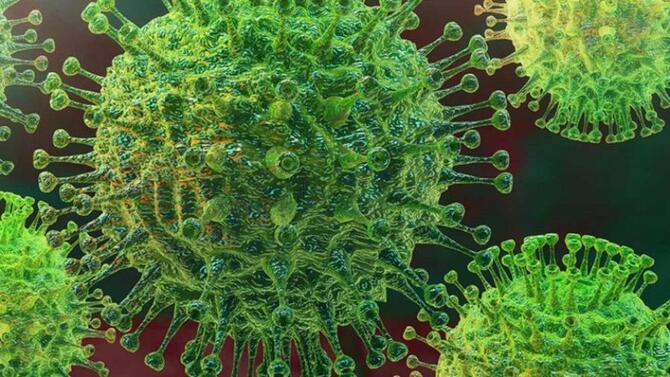 দেশে করোনায় ২৪ ঘন্টায় ১৫ জনের মৃত্যু, শনাক্ত ২৯২