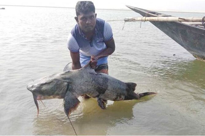 পাঁচদিনেই লাখপতি জেলে ওয়ালিউর