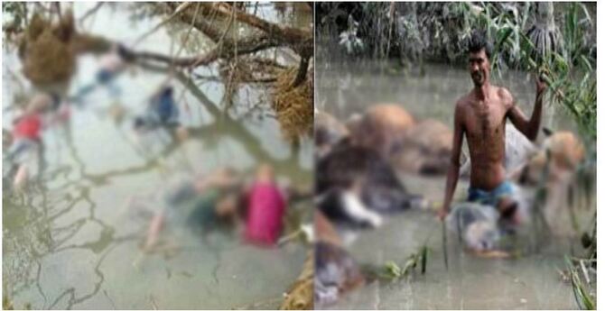 আজ সেই ভয়াল ২৯ এপ্রিল