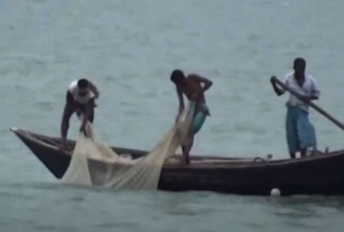 চাঁদপুর অভয়াশ্রমে চলছে দেদারছে ইলিশ নিধন