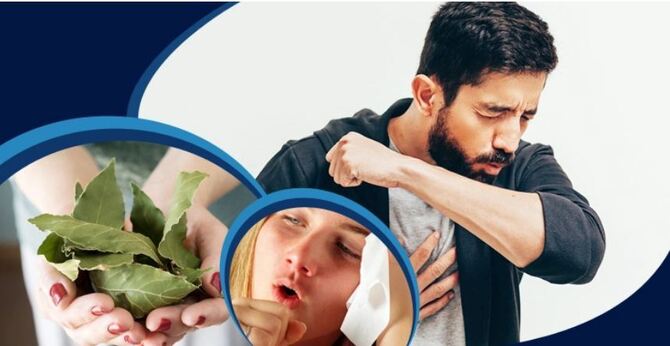 খুশখুশে কাশি ও গলা ব্যথা দূর করবে তেজপাতা!