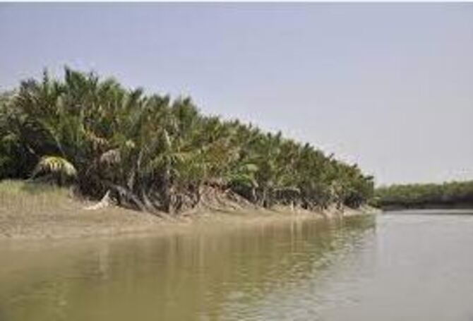 সুন্দরবনে পর্যটক প্রবেশে নিষেধাজ্ঞা জারি কার্যকর