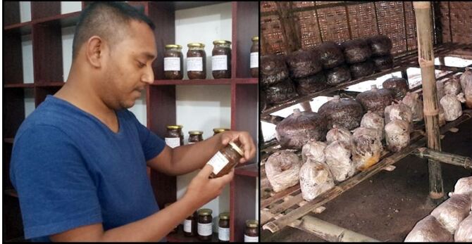 মাশরুম চাষে সফলতার স্বপ্ন দেখছেন বিদেশ ফেরত ইমাম