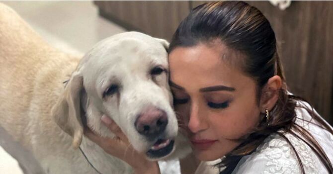 আদরের কুকুর ‘চিকু’কে হারিয়ে শোকাহত মিমি