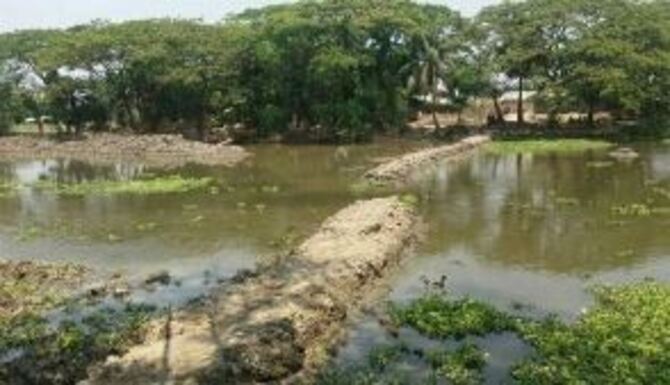 আমতলীতে খাল খননের অনিয়ম ধামাচাপা দিতেই তিনটি বাঁধ কর্তণ!