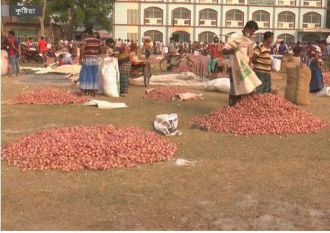 কুষ্টিয়ার হাটে বেড়েছে পেঁয়াজের দাম, খুশি কৃষকরা