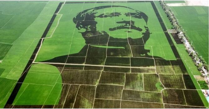 শস্যচিত্রের ধান যাবে প্রধানমন্ত্রীর ত্রাণভাণ্ডারে, পাবেন কৃষকও