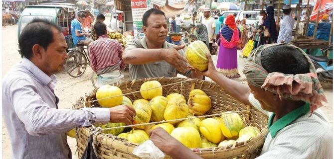 সাধ্যের ফল বাঙ্গি