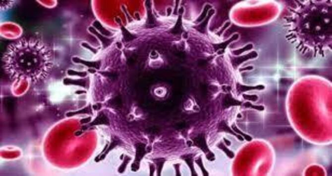 দেশে করোনায় ২৪ ঘন্টায় ৫৩ জনের মৃত্যু, শনাক্ত ৭০৮৭