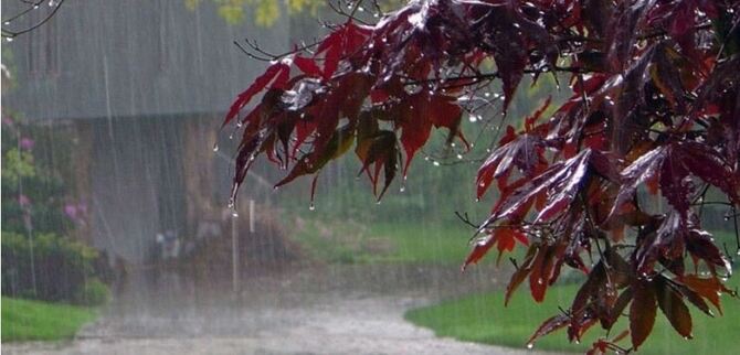 ১৮-২৪ এপ্রিল ভারি বৃষ্টি হতে পারে