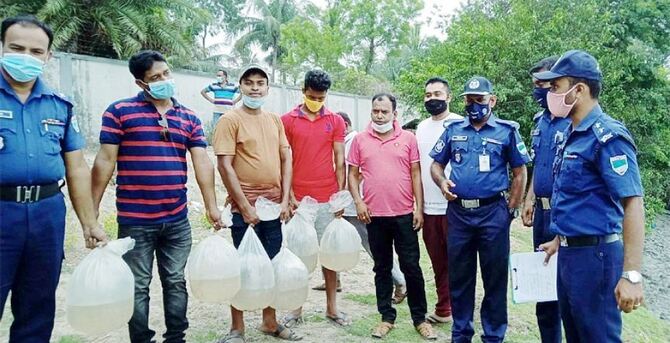 দেবহাটায় ভারতীয় গলদা রেণু আটক