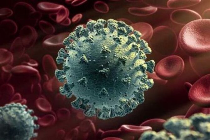 দেশে করোনায় ২৪ ঘন্টায় ৭৮ জনের মৃত্যু, শনাক্ত ৩০৩১