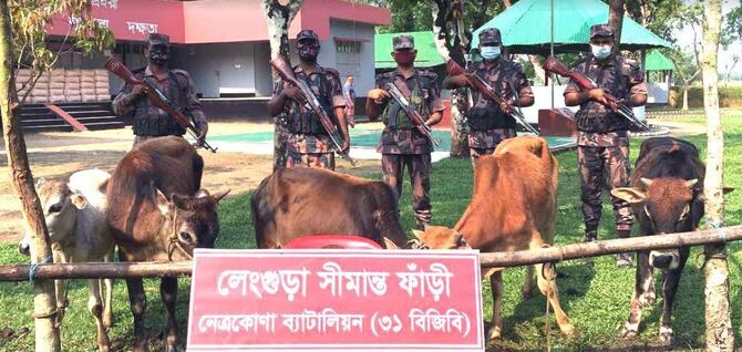 নেত্রকোণার সীমান্ত এলাকায় বিজিবি অভিযান