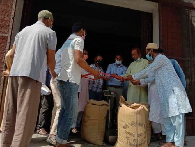 বোদায় গম সংগ্রহের উদ্বোধন