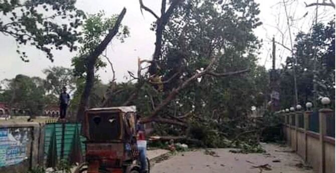 কালবৈশাখীর তাণ্ডব, গাছচাপায় ৩ জনের মৃত্যু