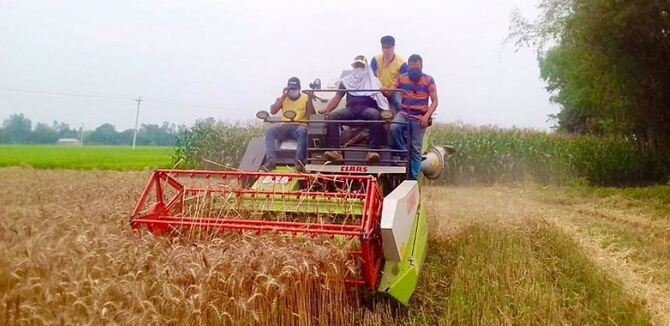 গ্রিনল্যান্ড টেকনোলজিসের ক্লাস কম্বাইন হারভেস্টার মাঠ প্রদর্শনী