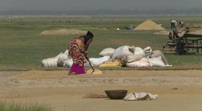 হাকালুকিতে ব্যস্ত সময় পার করছেন কিষান-কিষানিরা