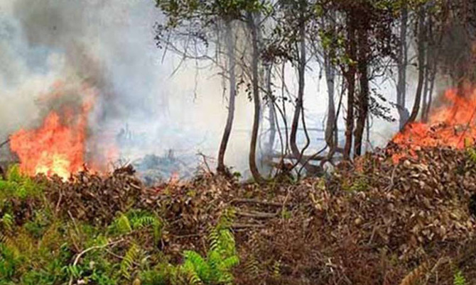 এখনও জ্বলছে সুন্দরবনের আগুন