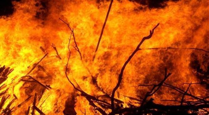 সুন্দরবনে আবারও আগুন