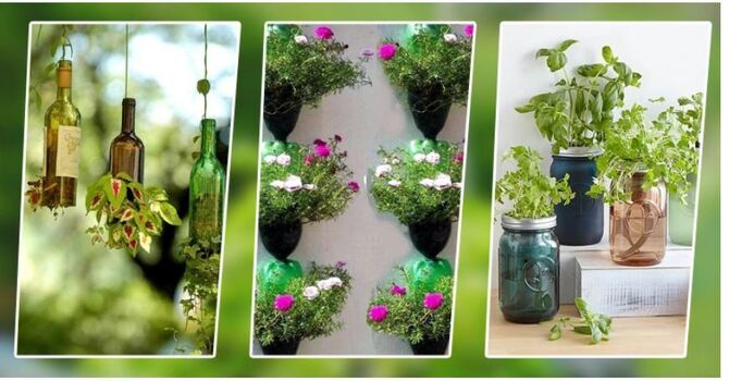ফেলে দেওয়া বোতলে গাছ লাগিয়ে সাজিয়ে তুলুন বারান্দা