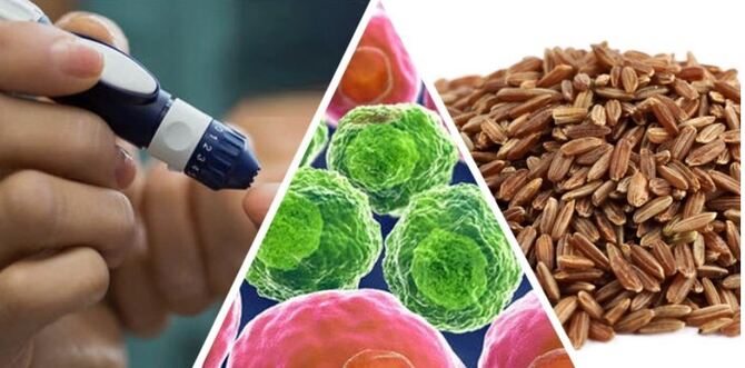 বাদামি চাল খেলে মারাত্মক যেসব রোগ সারবে