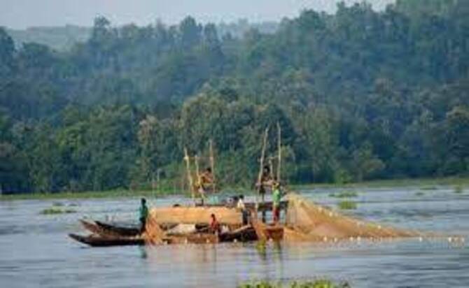 কাপ্তাই লেকে বিলুপ্তের পথে মহাশোল-পাবদাসহ ৬ প্রজাতির মাছ