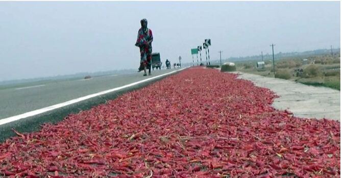 কৃষকের কাছে আশীর্বাদ হয়ে এসেছে অলওয়েদার সড়ক