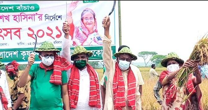 নেত্রকোনায় কৃষকের ধান কেটে দিল কেন্দ্রীয় কৃষক লীগের নেতৃবৃন্দ