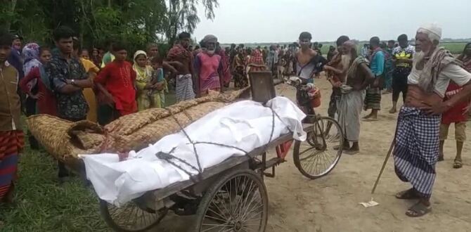 রাজৈরের দুই গ্রামে দুই ভ্যানচালককে কুপিয়ে হত্যা