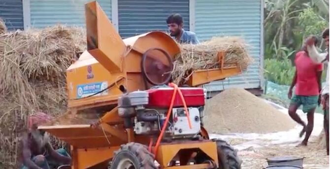 পিরোজপুরে ভালো ফলনেও হাসি নেই বোরো চাষিদের মুখে